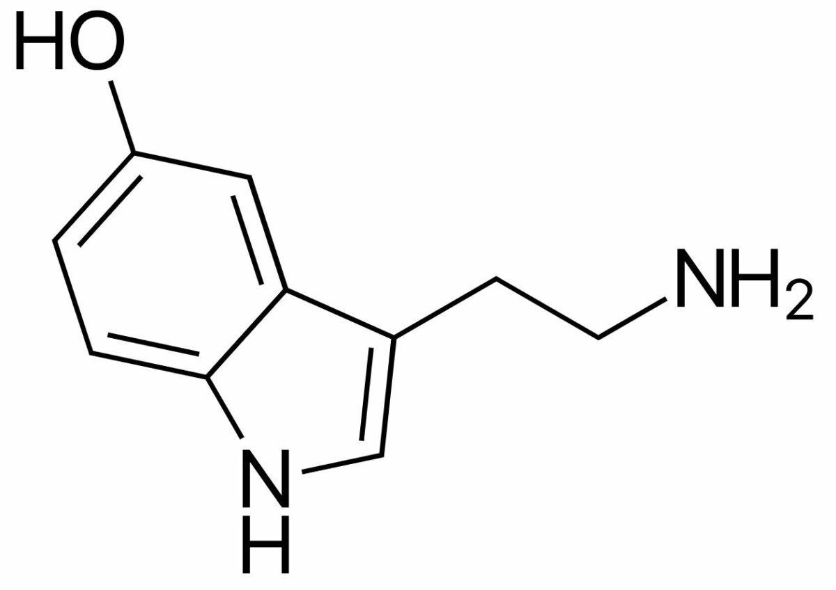 Chemical structure of serotonin