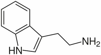 Chemical structure of tryptamine