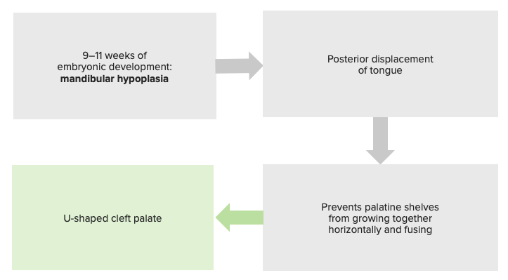 Pierre robin clearance syndrome cognitive development