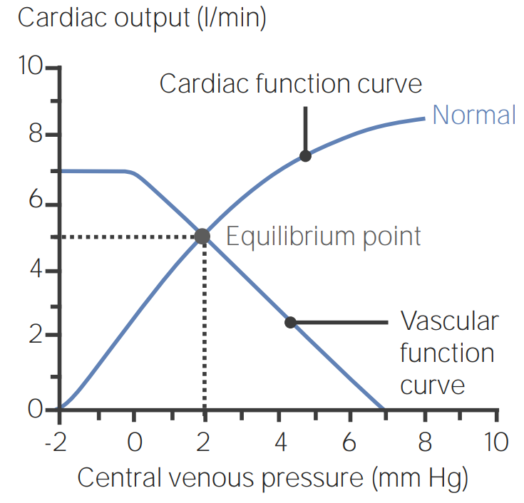 Curva de función venosa-cardíaca combinada que ilustra el punto de equilibrio entre la presión venosa central (pvc) y el gasto cardíaco (co)