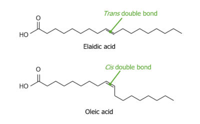 Comparison between double bond of elaidic acid and double bond of oleic acid