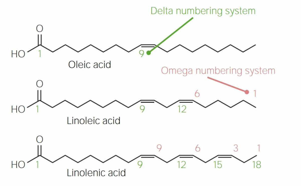 Comparison between the delta numbering system and the omega numbering system