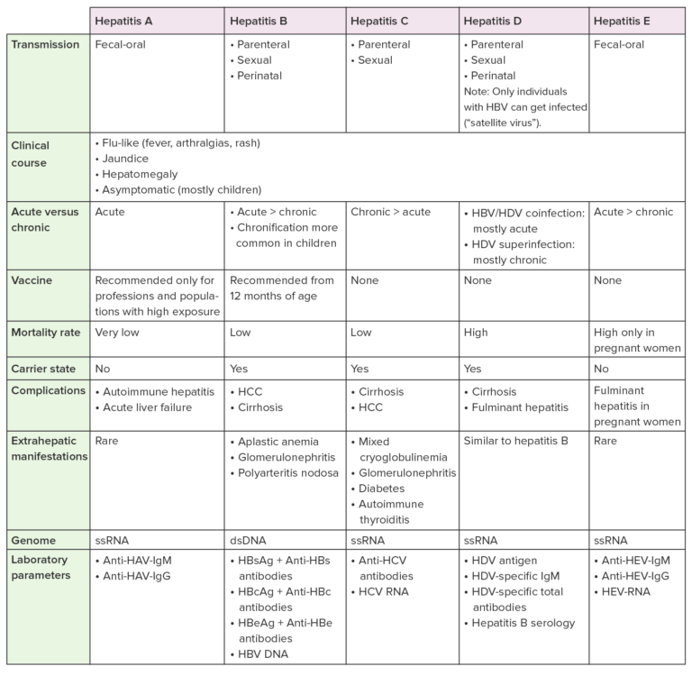 Hepatitis A Virus | Concise Medical Knowledge