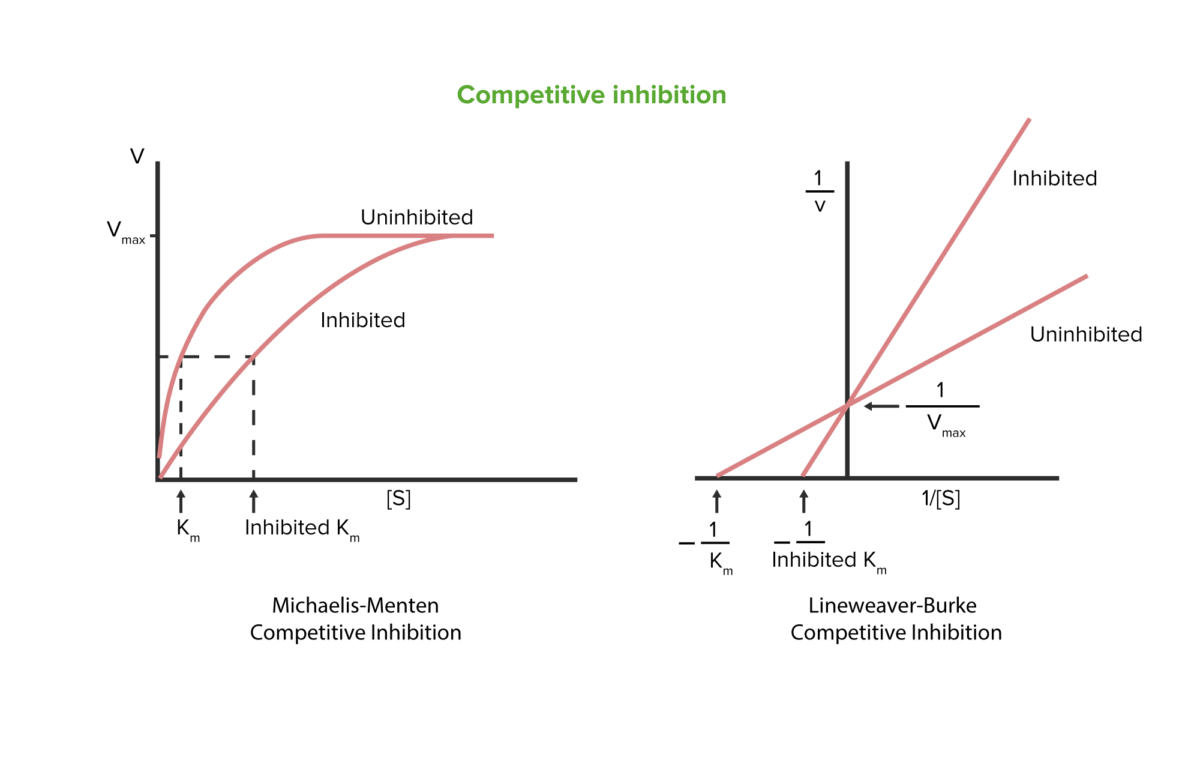 Competitive inhibition graph