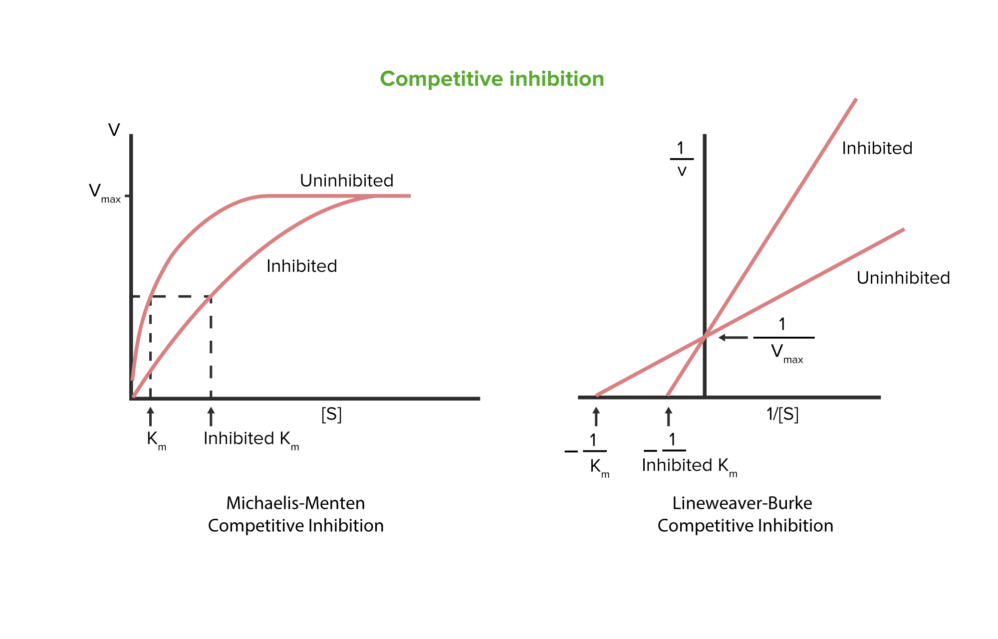mixed inhibition graph