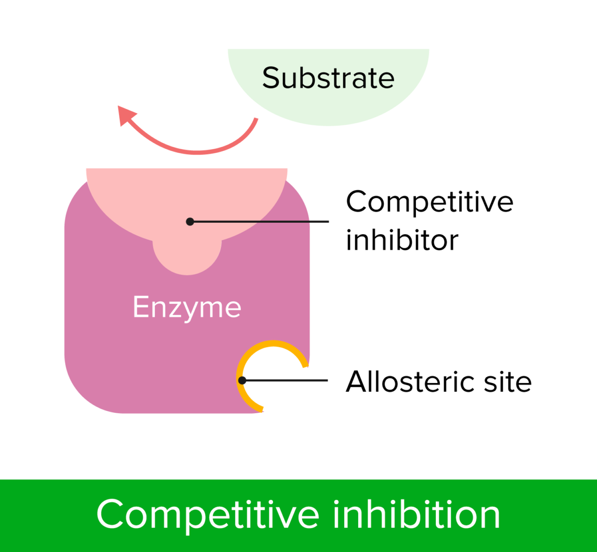 Competitive inhibition