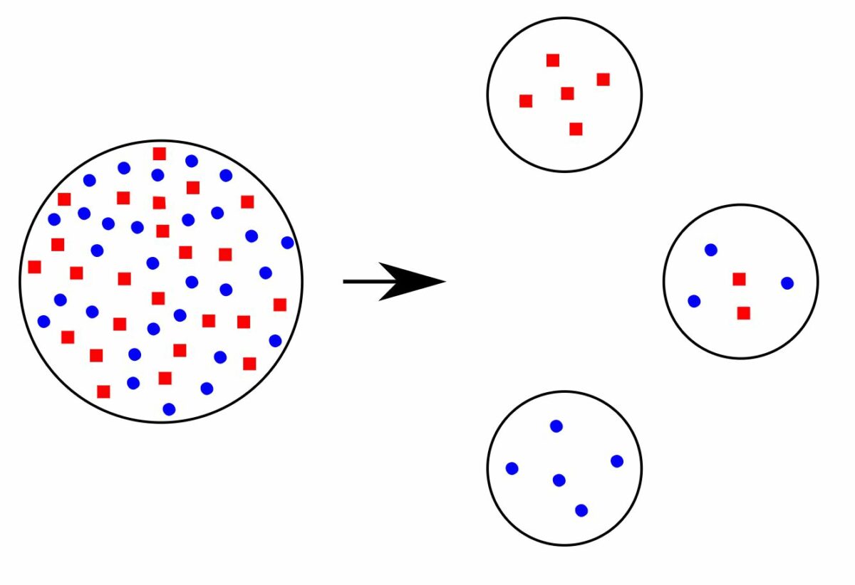 Concept of founder effect