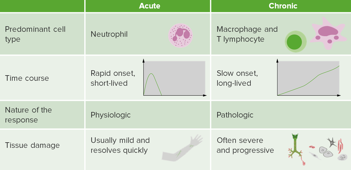 inflamaci-n-concise-medical-knowledge