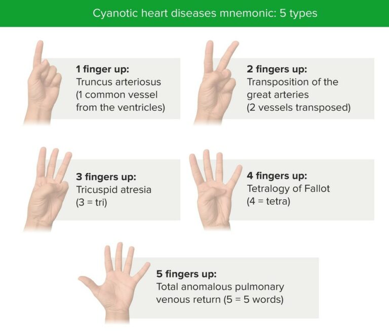 Physical Examination of the Newborn | Concise Medical Knowledge