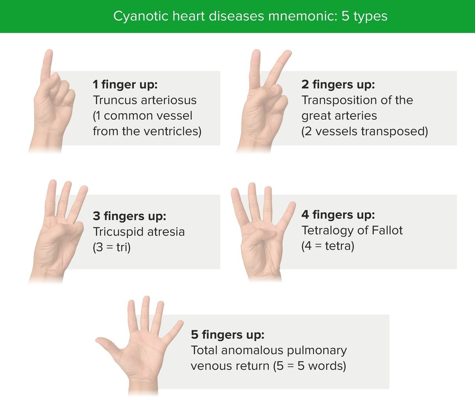 Cyanotic heart diseases