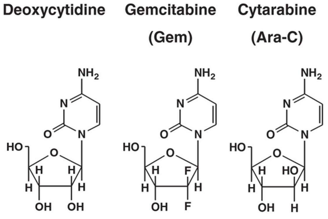 Deoxycytidine and analogs
