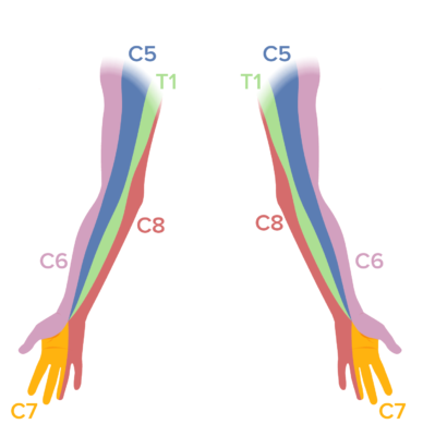 Neck Pain | Concise Medical Knowledge