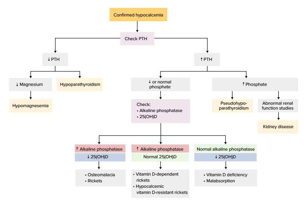 Diagnostic algorithm for potential etiologies of hypocalcemia