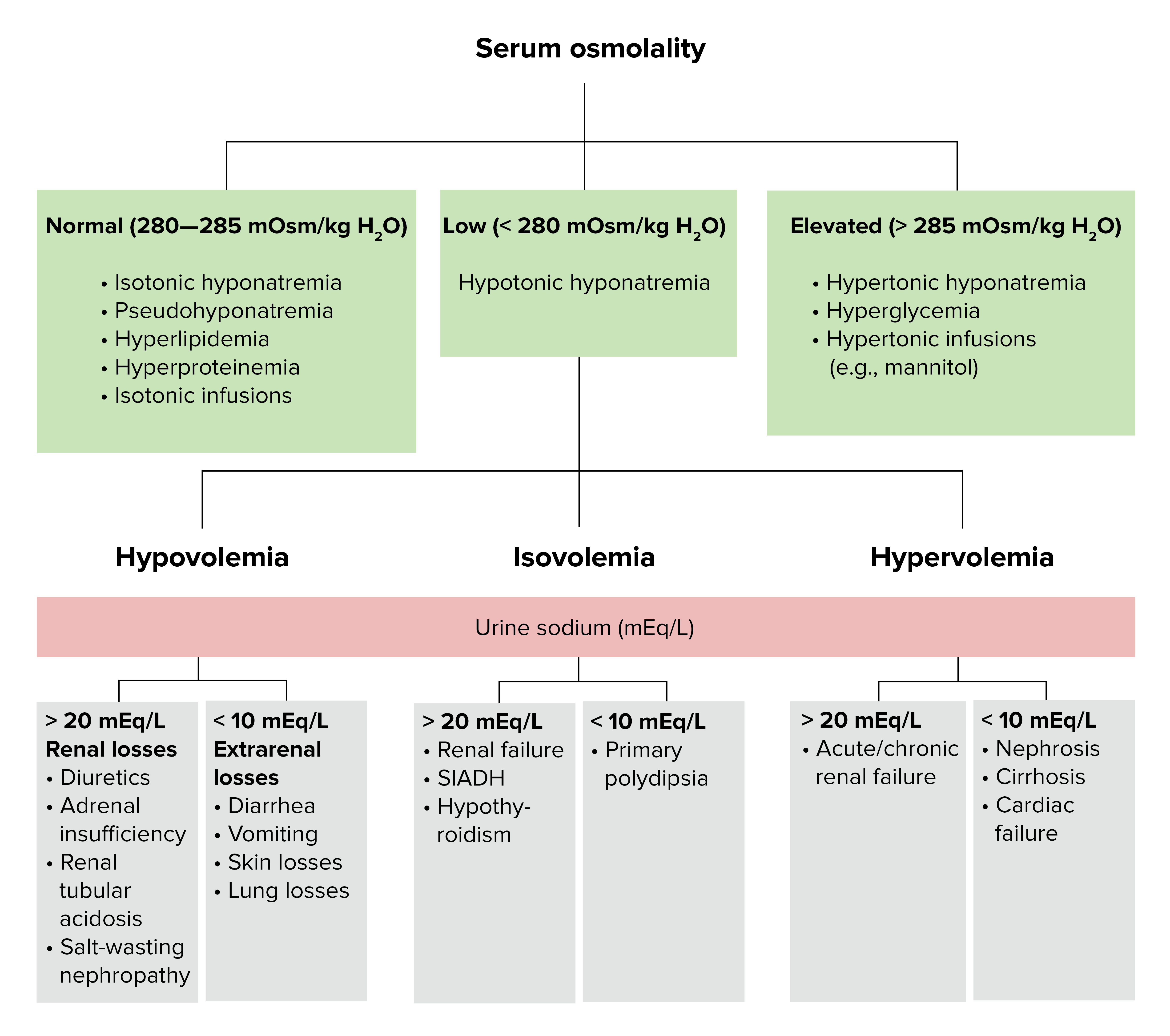 Siadh Hyponatremia Algorithm