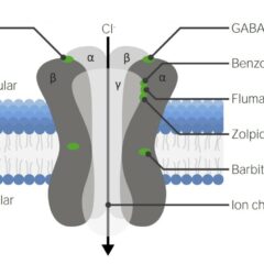 Diagram of the GABA-A receptor
