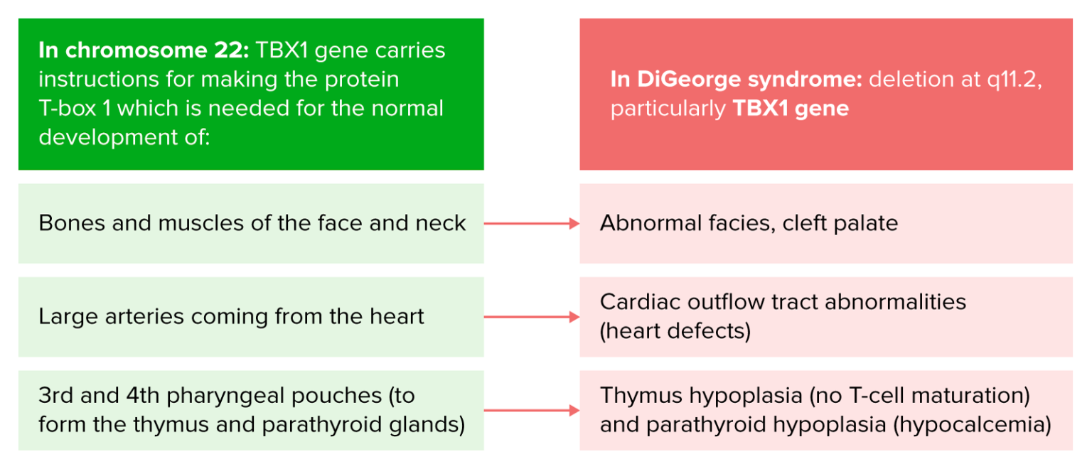 Syndrome Concise Medical Knowledge