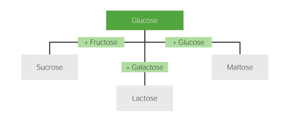 Disaccharides