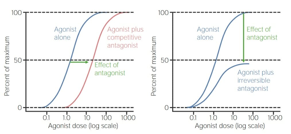 Dose response curve comparing agonist alone vs agonist with a competitive antagonist