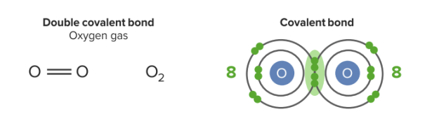 Double covalent bond