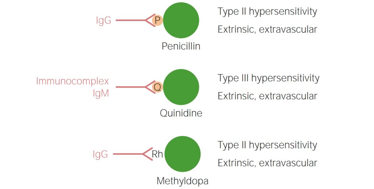 Anemia hemolítica inducida por medicamentos