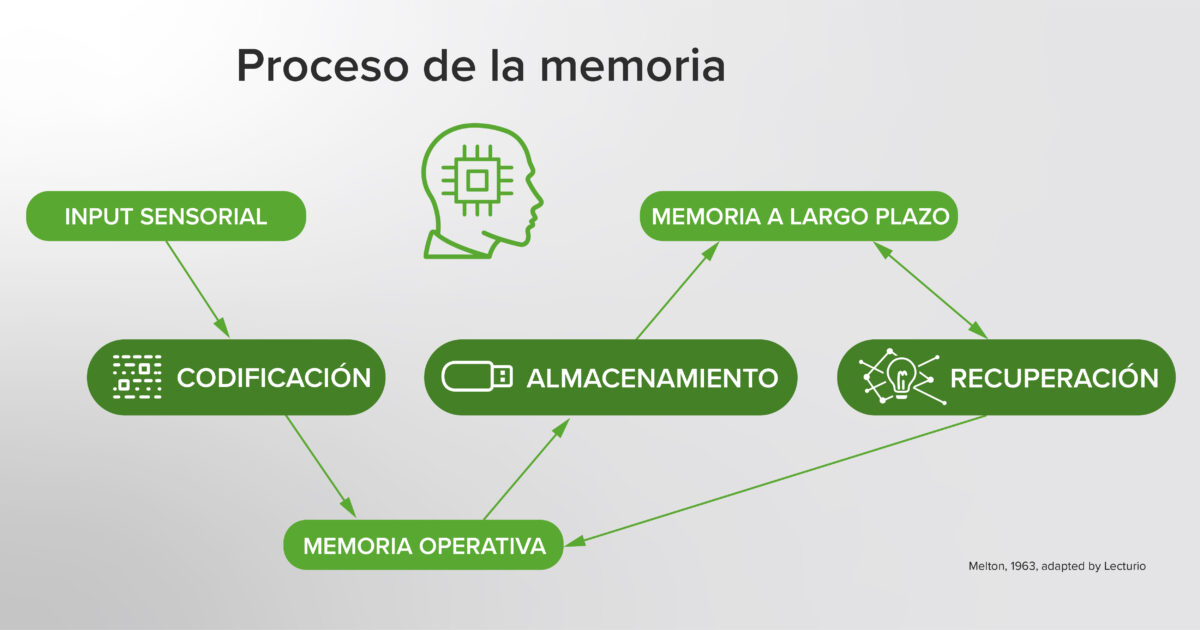 Entendiendo la Memoria para Mejorar el Aprendizaje en Educación Médica Lecturio Medical Entendiendo la Memoria para Mejorar el Aprendizaje en Educación Médica Lecturio Medical