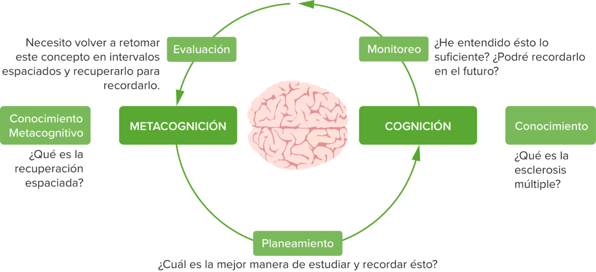Cognition and metacognition es