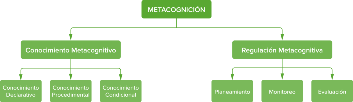 Elements of metacognition es