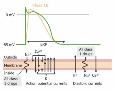 Class 1 Antiarrhythmic Drugs (Sodium Channel Blockers) | Concise ...