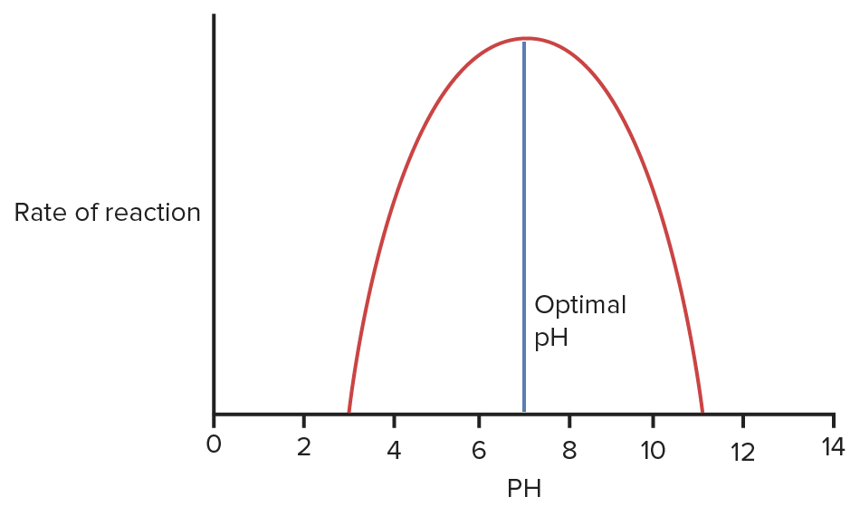 enzyme kinetics experiment