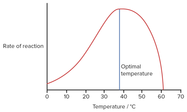 enzyme temp experiment