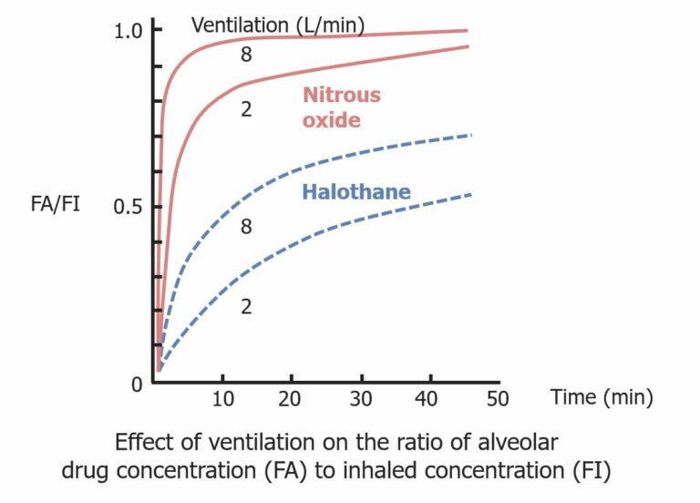 Inhaled Anesthetics | Concise Medical Knowledge