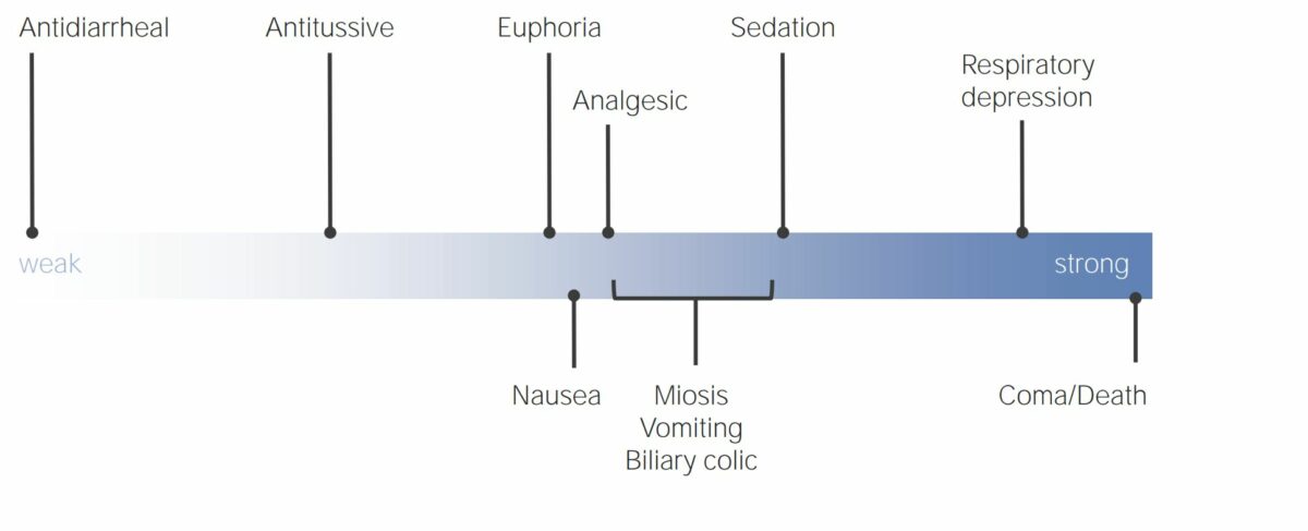 Effects of opioid analgesics in relation to the strength of the drug