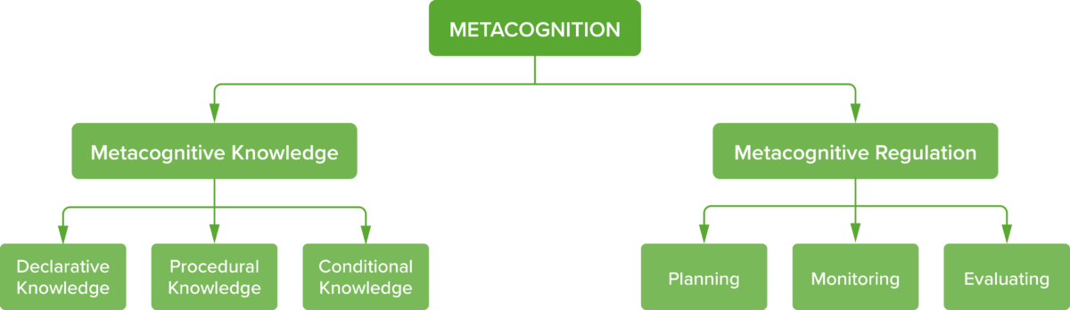 Elements of metacognition