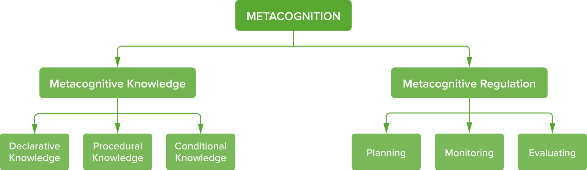 Metacognition in Medical Education Lecturio Medical