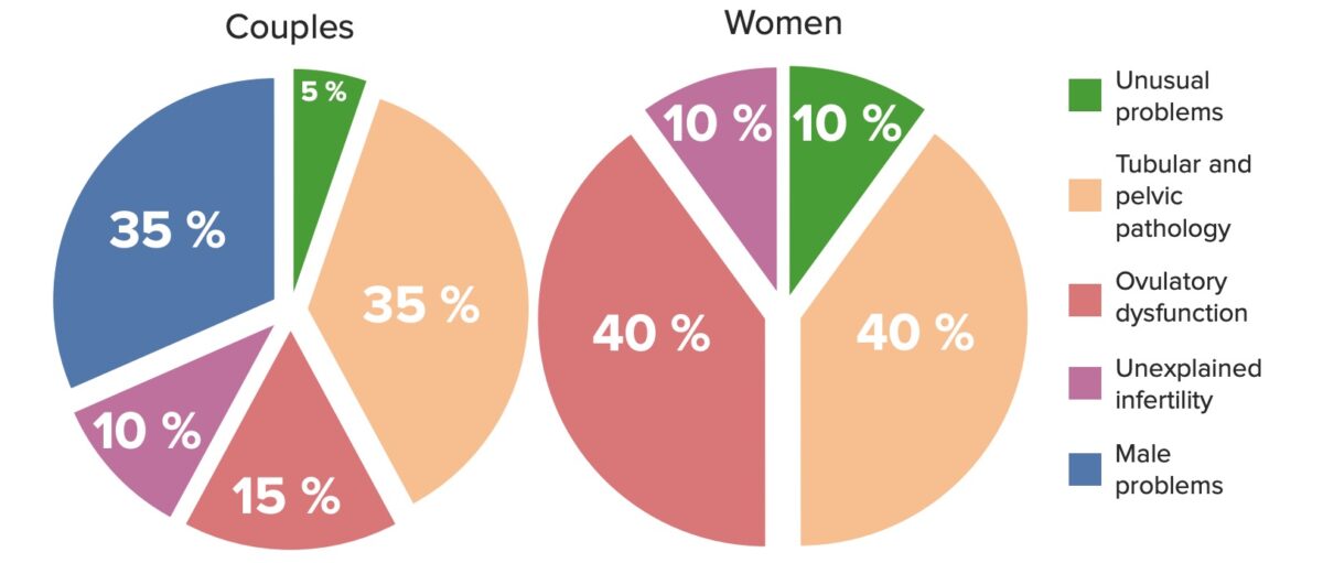 Etiologias da infertilidade em casais (esquerda) e mulheres (direita)