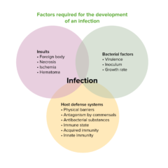 Factors required for the development of an infection