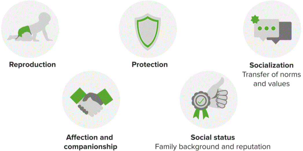 5 social institutions