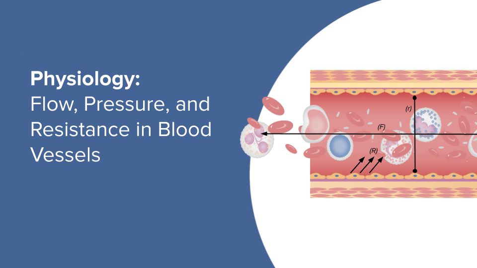 https://cdn.lecturio.com/assets/Flow-Pressure-and-Resistance-in-Blood-Vessels-thumbnail.png