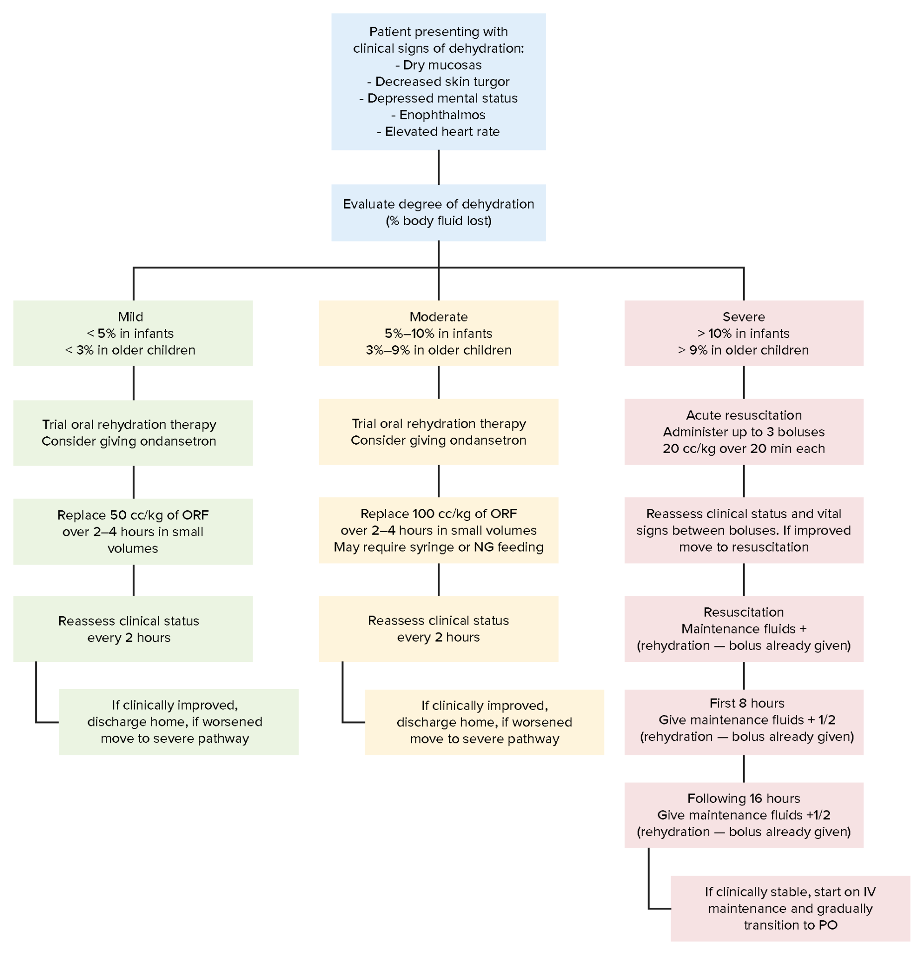 Fluid Replacement Therapy in Children Concise Medical Knowledge