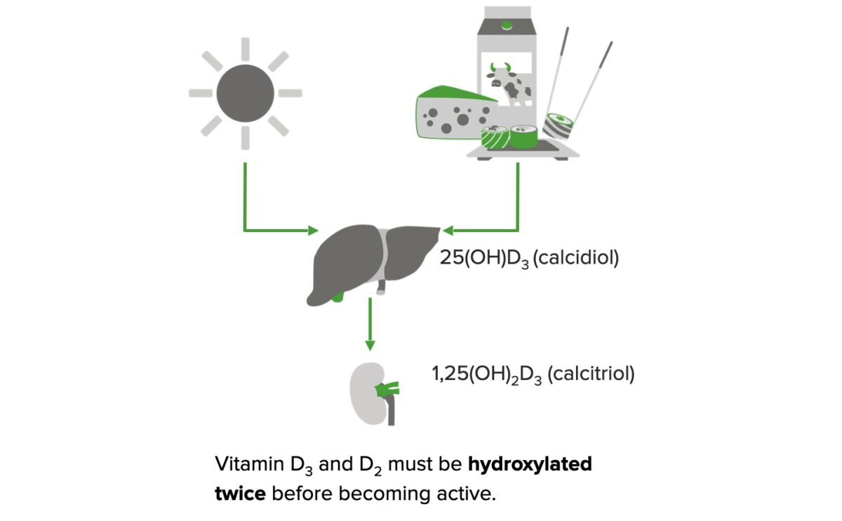 Formation of vitamin d process