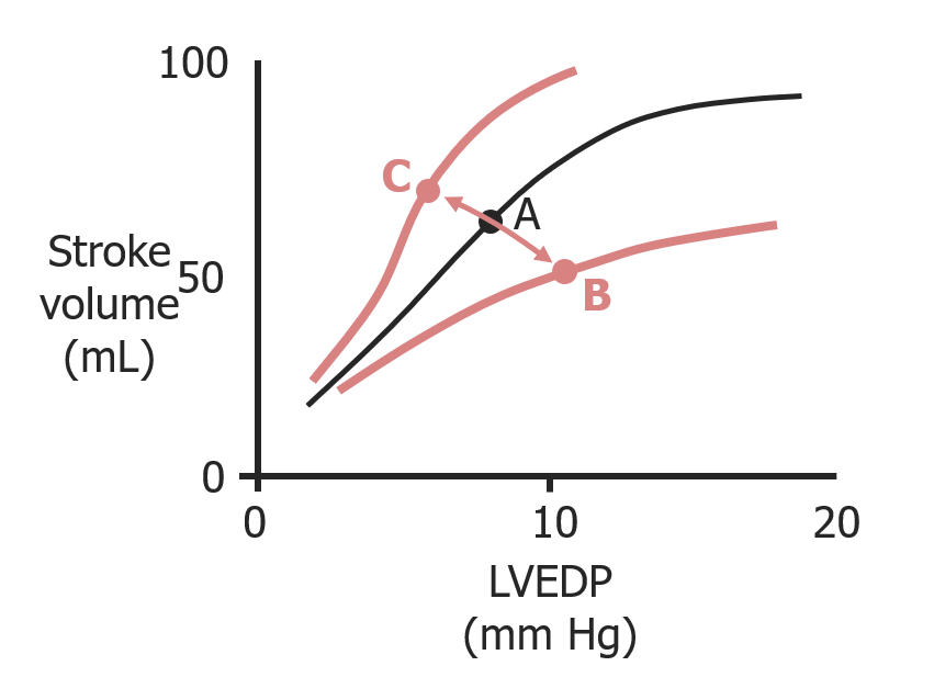 Frank-starling curves and the effects of afterload on stroke volume and left ventricular end-diastolic pressure