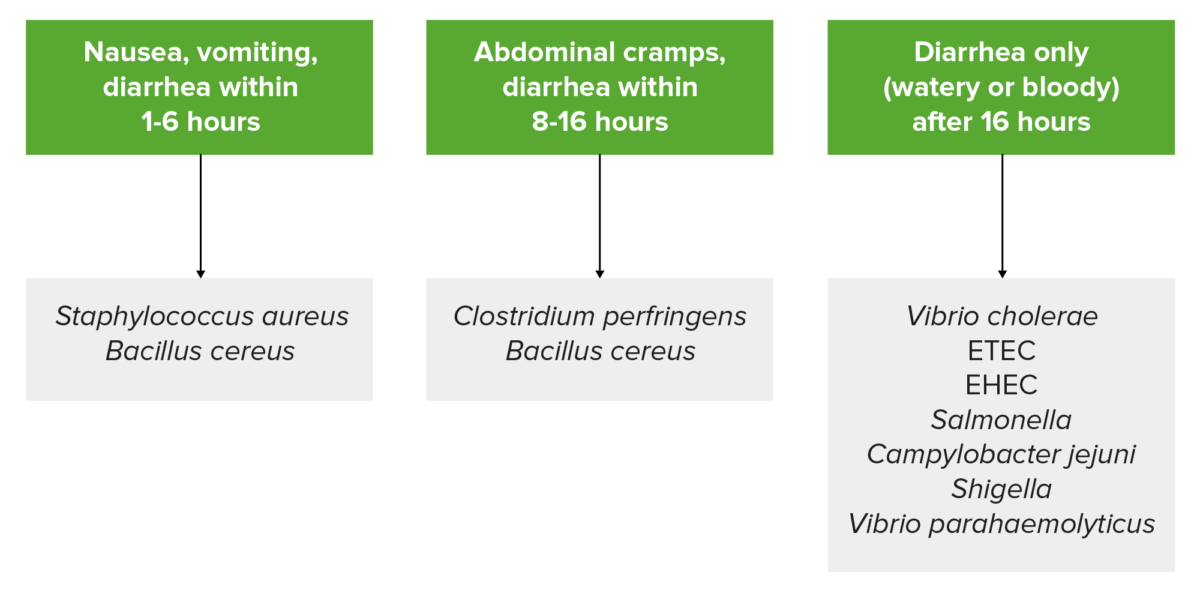 Gastroenteritis symptoms