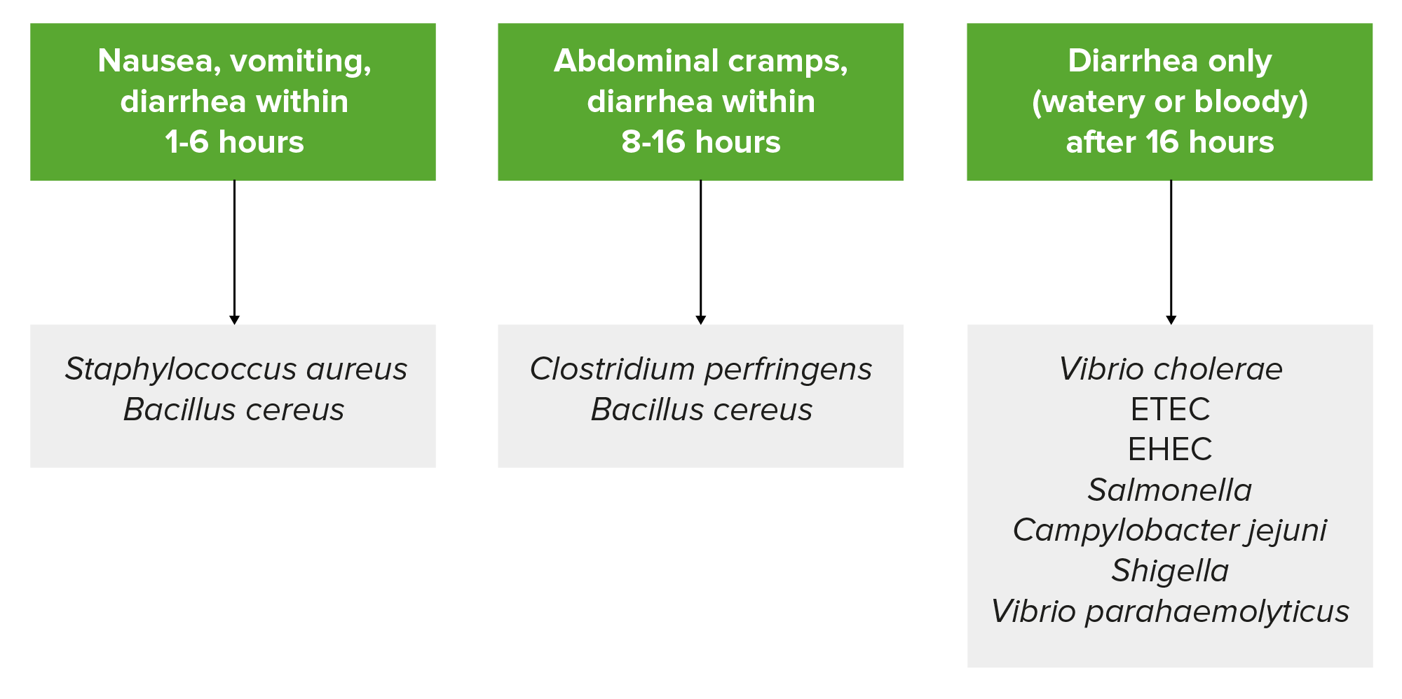 How Long Does Viral Gastroenteritis Last In Babies