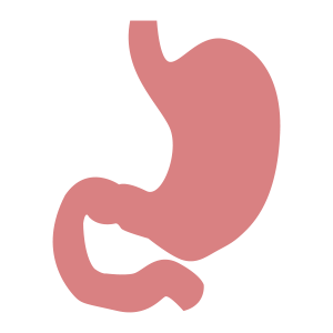 Gastrointestinal system and nutritional health comat