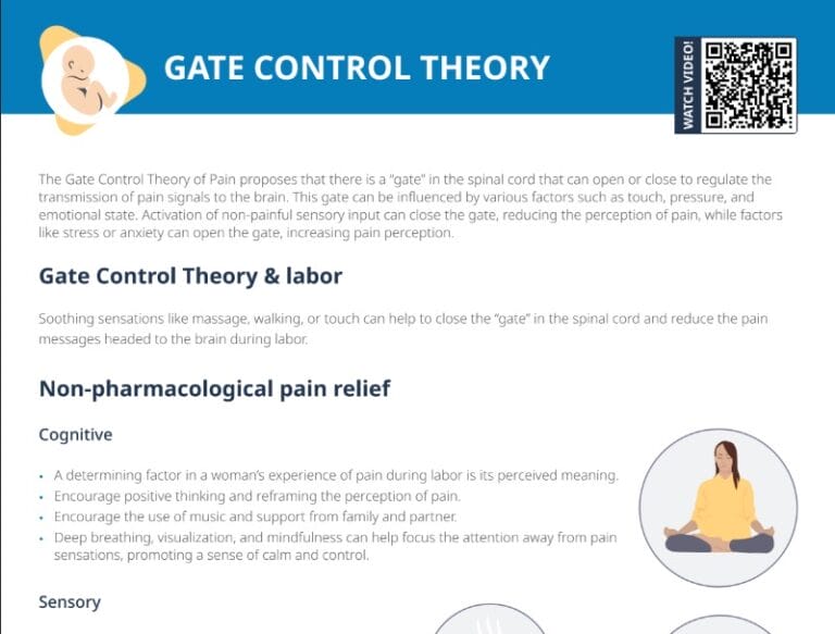 Gate Control Theory & Labor [+ Free Cheat Sheet] Lecturio