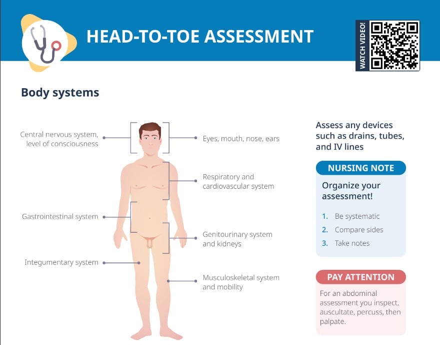 Head to toe assessment pdf