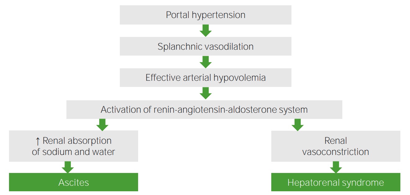 Hepatorenal syndrome pathophysiology
