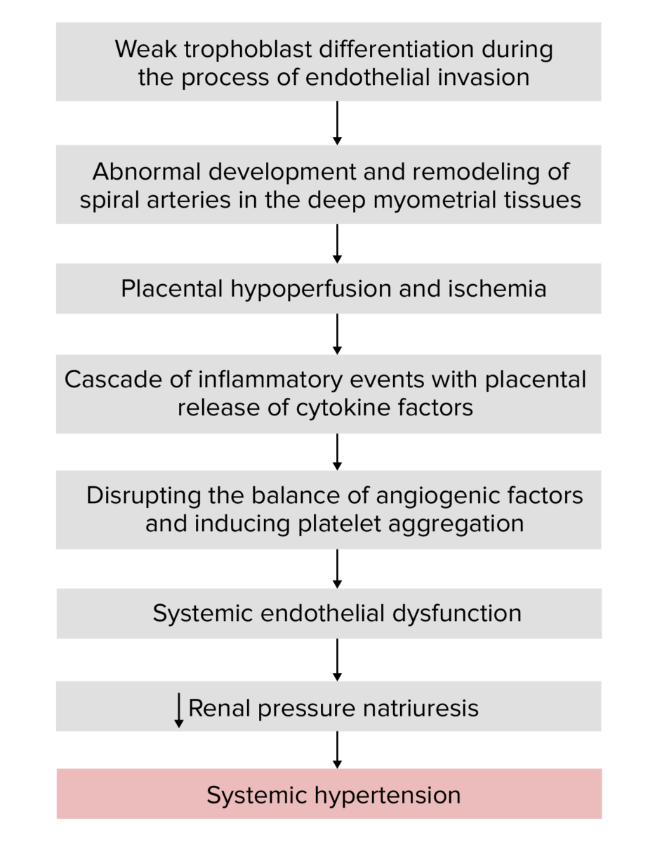 Hypertension in pregnancy