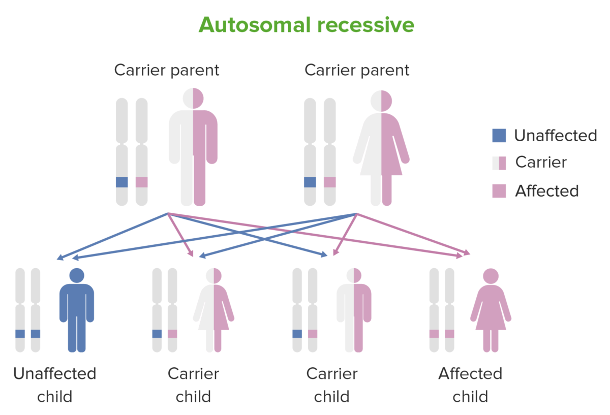 what is the meaning of recessive gene