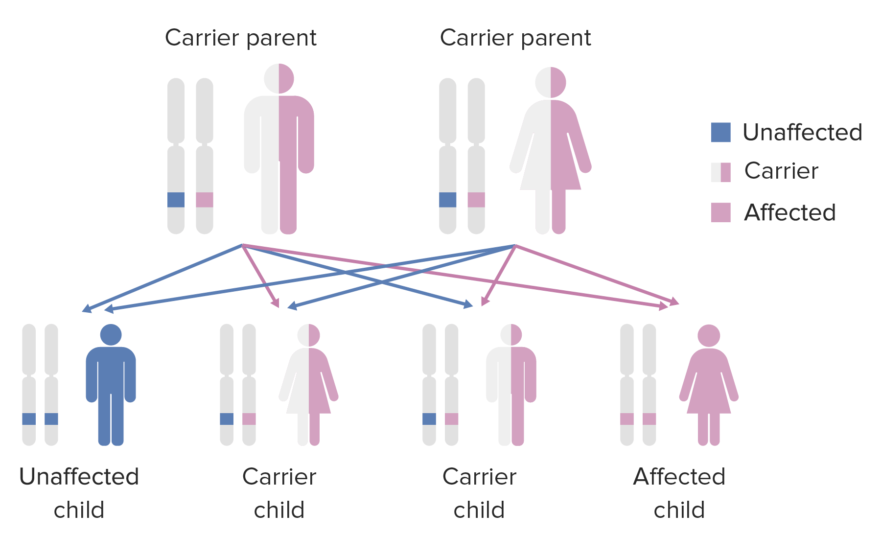 autosomal recessive inheritance